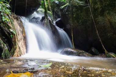 Kuzey Tayland 'da güzel bir şelale.