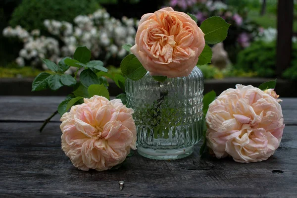 Three tenderness roses on a wooden rustic table, a glass vase. Garden party