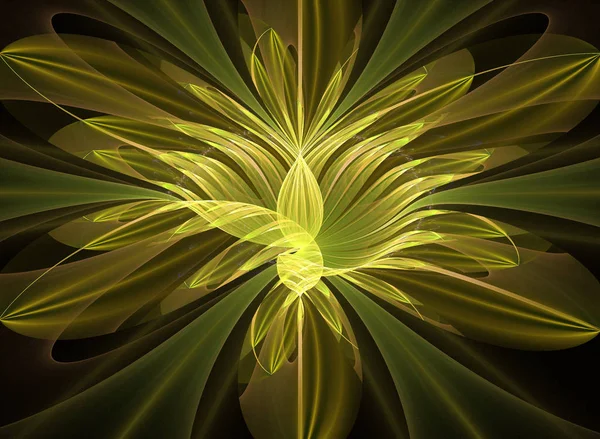 Soyut fraktal desen ve şekiller. Fraktal doku. Serisi, süslü boya renkleri. Arka plan illüstrasyon renk dokusu oluşur.