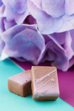 Mor ortanca çiçek ile renkli arka plan üzerinde lüks el yapımı çikolata şeker