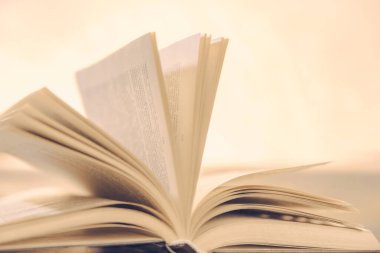 Kitap masanın üzerinde altın ışıktaki sihir gibi açık duruyor.