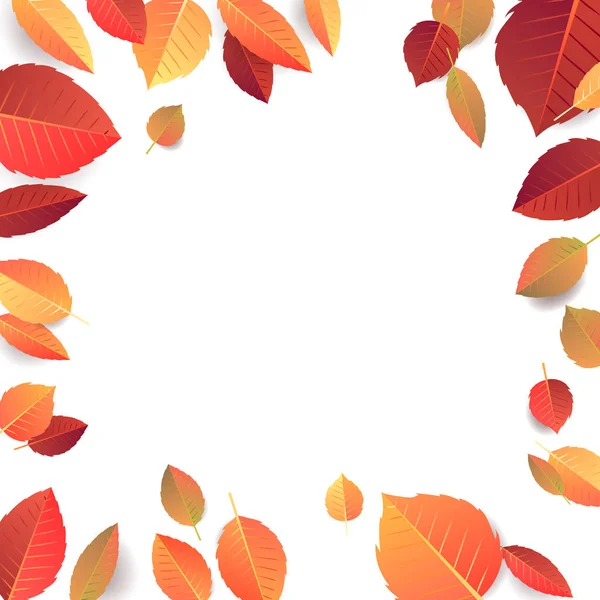 Autumn Seasonal Banner Template Fallen Leaves — Stock Photo, Image