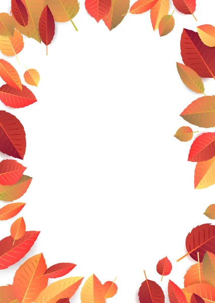 Höstens Säsong Banner Mall Med Nedfallna Löv Vektorillustration — Stock vektor