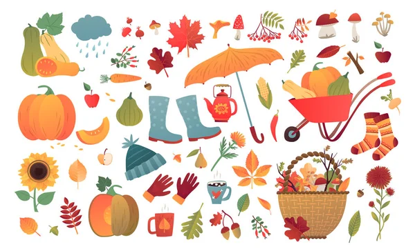 秋のハッピーセット 漫画の黄色の植物 食べ物 暖かい靴下 キノコと葉 収穫祭と感謝祭カード ポスター 印刷のための日要素 — ストックベクタ