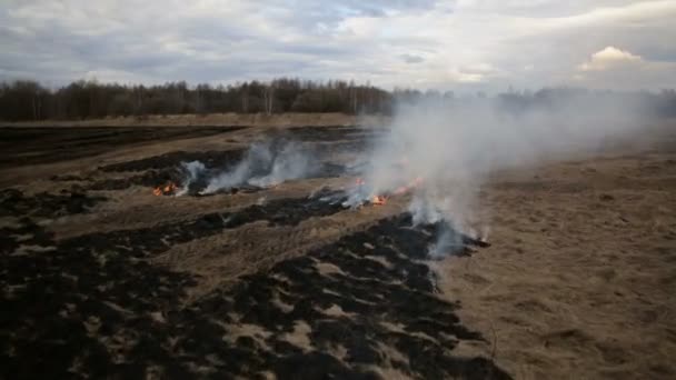 Воздушный вид на сухое сжигание травы на сельскохозяйственных угодьях — стоковое видео