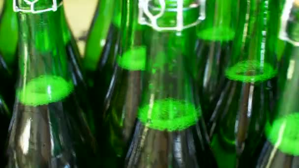 Botellas de champán en cinta transportadora de fábrica — Vídeos de Stock