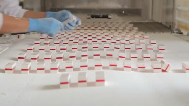 Plakken snoepjes productie in de fabriek — Stockvideo