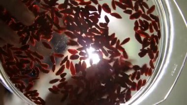 Genç kadın bir cam kabın içinde Goji meyveleri saçılma