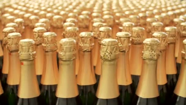 Garrafas de champanhe na correia transportadora de fábrica — Vídeo de Stock