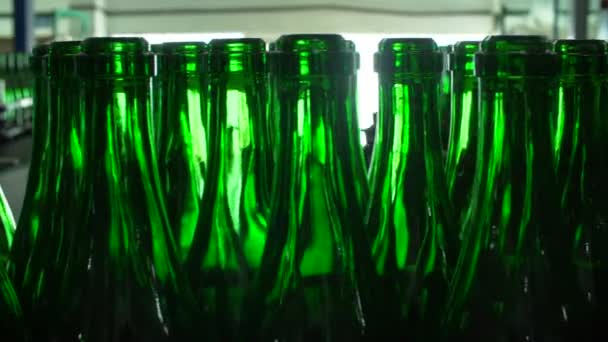 Champagne bottles on factory conveyor belt — Stock Video