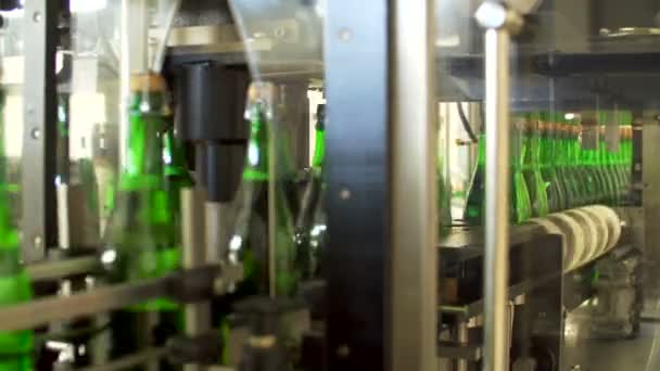 Шампанські пляшки на заводському конвеєрному поясі — стокове відео