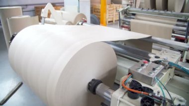 Kağıt ve selüloz fabrikası
