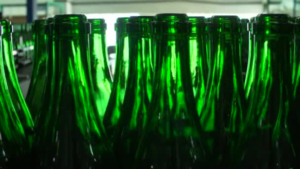 Szampana butelek na fabryki przenośnika taśmowego — Wideo stockowe