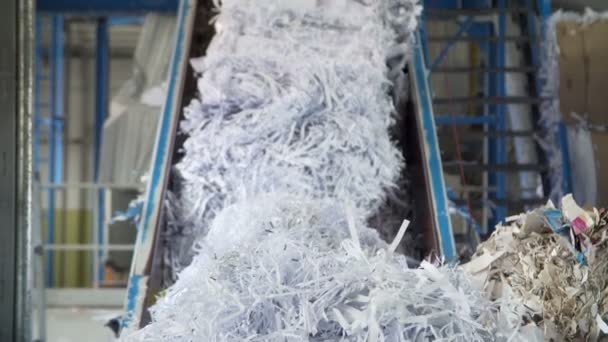 Usine de recyclage des déchets de papier — Video