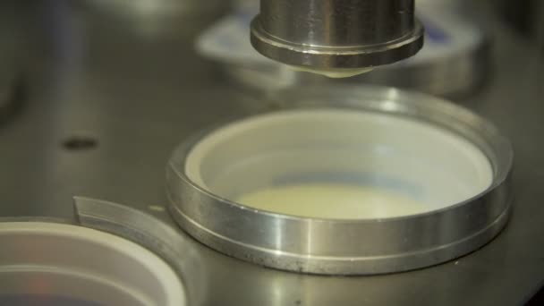 Mléčné výrobky rostlinné dopravník — Stock video