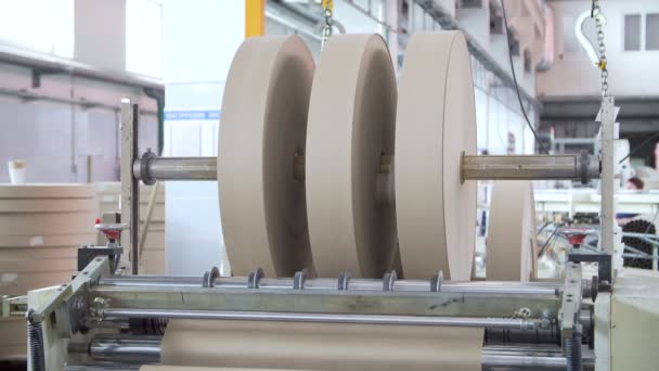 Kağıt ve selüloz fabrikası — Stok video