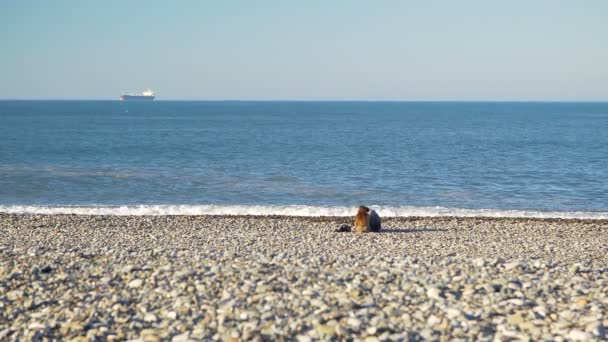 海のそばで小石のビーチの上に座ってカップル — ストック動画