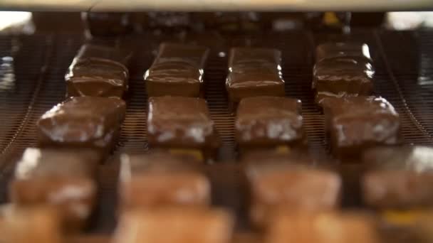 Doces de chocolate na correia transportadora — Vídeo de Stock