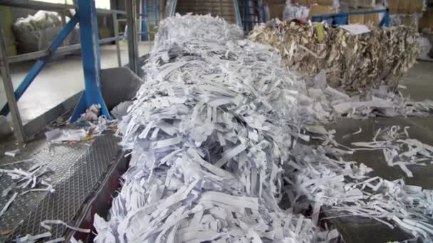 Переробка відходів паперу — стокове відео