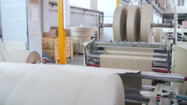 Kağıt ve selüloz fabrikası