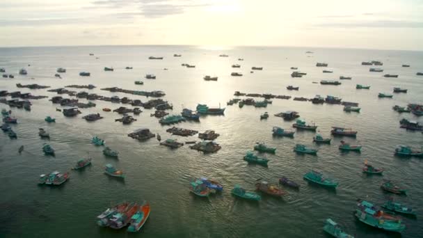 Many fishing boats in the sea near the shore — Stock Video