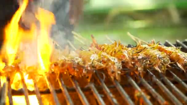 Camarões grelhados sobre uma fogueira — Vídeo de Stock