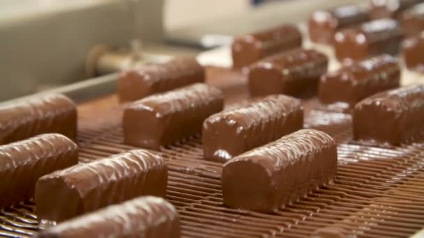 Dulces de chocolate en la cinta transportadora — Vídeos de Stock