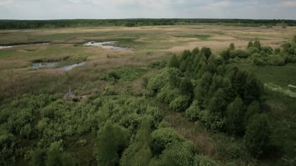 Luftaufnahme von Moorlandschaften mit Nistplätzen für weiße Reiher — Stockvideo