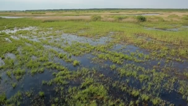 Вид з повітря на болотні землі біля долини річки — стокове відео