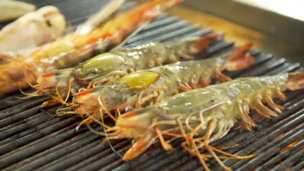 Griller les crevettes sur un feu ouvert — Video