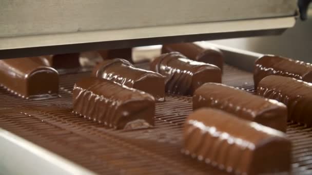 Doces de chocolate na correia transportadora — Vídeo de Stock