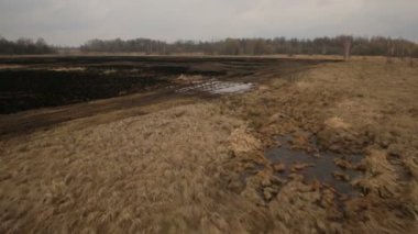 Yanmış kuru ot havadan görünümü ile bataklık tarım arazileri
