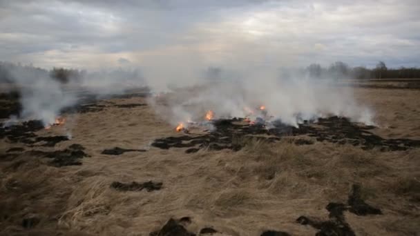 Воздушный вид на сухое сжигание травы на сельскохозяйственных угодьях — стоковое видео