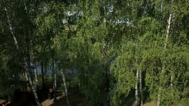 Вид з повітря на болотні землі біля долини річки — стокове відео