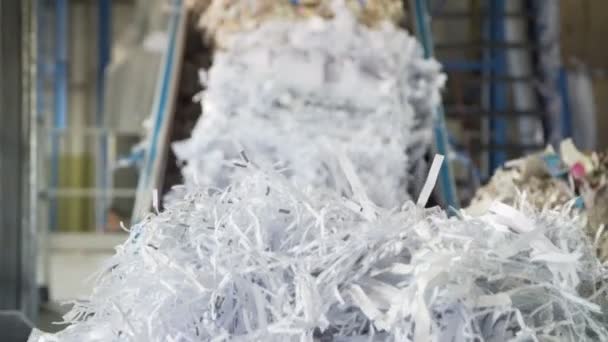 Molino de reciclaje de papel usado — Vídeo de stock