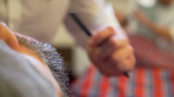 Bebaarde man krijgen baard kapsel en geschoren — Stockvideo