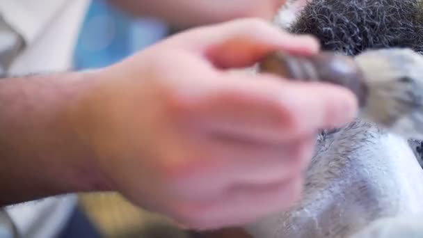 Homem barbudo ficando barba corte de cabelo e raspado — Vídeo de Stock
