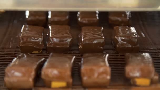 Choklad godis på transportbandet — Stockvideo