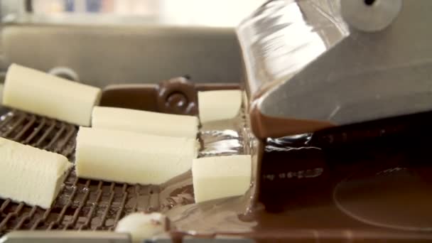 Czekoladowe słodkości na przenośnik taśmowy — Wideo stockowe