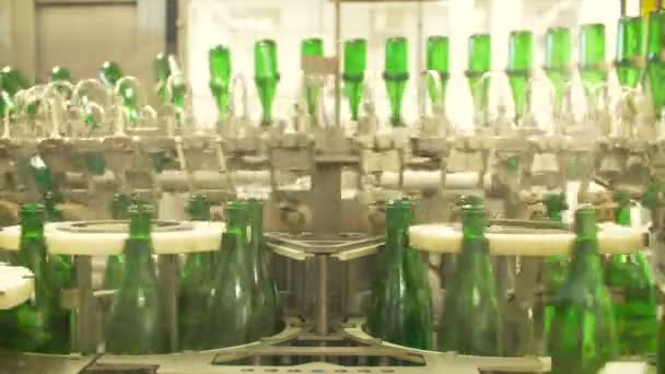 Bouteilles de champagne sur bande transporteuse usine — Video