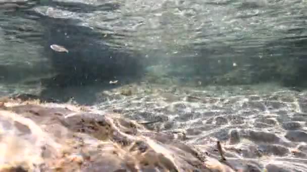 Rivage de mer peu profonde ondulations de fond sablonneux avec la lumière du soleil — Video