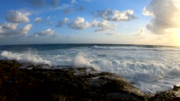 Las olas del mar aplastando en una playa rocosa — Vídeos de Stock