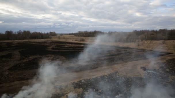 Vista aérea de hierba seca ardiendo en las tierras de cultivo — Vídeo de stock