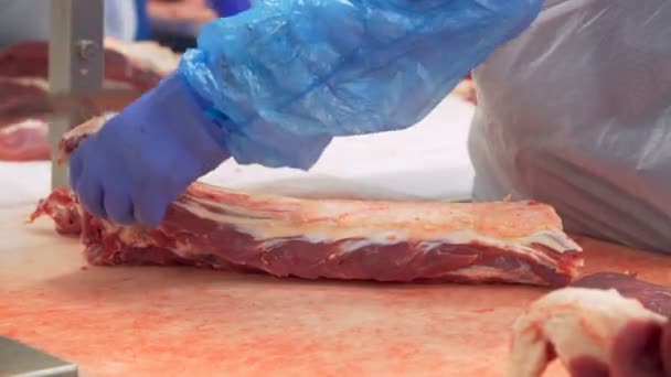 Butcher cutting beef by the conveyor belt — Stock Video