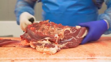 Konveyör bandı ile kasap kesme sığır eti