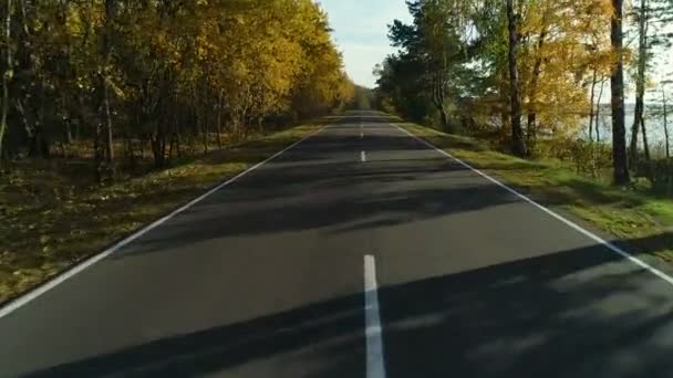 湖畔の秋の森の道 — ストック動画