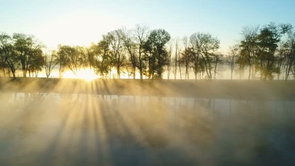 Туманный рассвет над парковой аллеей у озера — стоковое видео