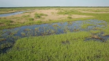 Nehir vadisine yakın bataklık manzarası