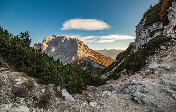 Hegyi Ösvény Csúcsa Napnyugtakor Nézet Gyönyörű Táj Kranjska Gora — Stock Fotó