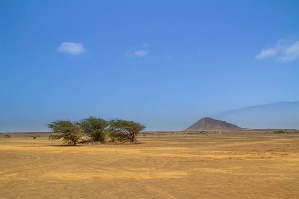 Kaapverdische Woestijn Het Midden Van Het Eiland — Stockfoto